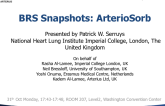 BRS Snapshots: ArterioSorb