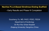 NeoVas PLLA-Based Sirolimus-Eluting Scaffold: Early Results and Phase III Completion