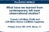 What Have We Learned From Contemporary Left Main Observational Studies I? French and LEMAX Registries