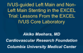 IVUS-guided Left Main and Non-left Main Stenting in the EXCEL Trial: Lessons From the EXCEL IVUS Core Laboratory