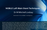 NOBLE Left main Bifurcation Stent Techniques