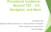 Procedural Guidance: Beyond TEE - ICE, Navigator, and More