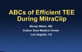 Case #4: The ABCs of Efficient TEE During MitraClip