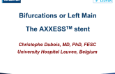 Bifurcation/Left Main Stents II: Axxess