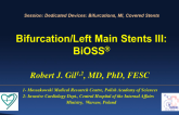 Bifurcation/Left Main Stents III: Bioss