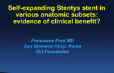 Self-Expanding Stentys Stent In Various Anatomic Subsets: Evidence Of Clinical Benefit?