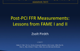 Post-PCI FFR Measurements: Lessons From FAME I and II