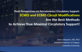 Flash Perspectives on Percutaneous Circulatory Support: ECMO and ECMO Circuit Modifications Are the Best Methods to Achieve True Maximal Circulatory Support!