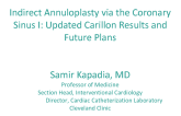 Indirect Annuloplasty via the Coronary Sinus I: Updated Carillon Results and Future Plans