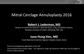 Indirect Annuloplasty via the Coronary Sinus II: Mitral Cerclage