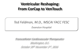 Ventricular Reshaping: From CorCap to VenTouch