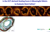 Is the OCT-derived Healing Score A Meaningful Metric to Evaluate Stent Safety?