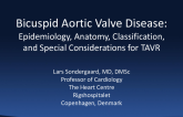 Bicuspid Aortic Valve Disease: Epidemiology, Anatomy, Classification, and Special Considerations for TAVR