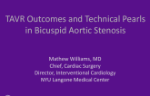 TAVR Outcomes and Technical Pearls in Bicuspid Aortic Stenosis (With Case Examples)