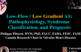 Low-Flow Aortic Stenosis: Pathophysiology, Syndrome Classification, and Prognosis