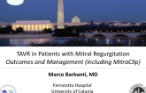Aortic Stenosis + Concomitant Disease I. TAVR in Patients With Mitral Regurgitation - Outcomes and Management Strategies (Including MitraClip)