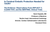 Controversy 1. Is Cerebral Embolic Protection Needed for TAVR? The Evidence: Observations From DEFLECT 3, CLEAN-TAVI, and the SENTINEL Clinical Trials