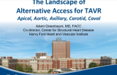The Landscape of Alternative Access Strategies for TAVR (Apical, Direct Aorta, Subclavian, Carotid, and Caval)