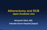 Japan Academia View