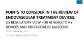 Points to Consider in the Review of Endovascular Treatment Devices: US Regulatory View