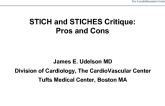 STICH and STICHES Critique: Pros and Cons