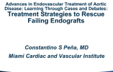 Treatment Strategies to Rescue Failing Endografts