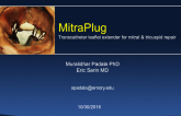 Transcatheter Leaflet Extender for Mitral Valve Repair (MitraPlug)
