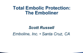 Total Embolic Protection in TAVR Procedures (Emboline)
