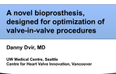 A Novel Bioprosthesis Designed for Optimization of Valve-in-Valve Procedures