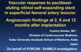 TCT 19: Vascular Response to Paclitaxiel-Eluting Nitinol Self-Expanding Stent in Superficial Femoral Artery Lesions: Angioscopic Findings at Two, Six, and Twelve Months After Implantation