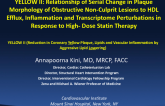 YELLOW II: Relationship of Serial Change in Plaque Morphology of Obstructive Non-Culprit Lesions to HDL Efflux, Inflammation and Transcriptome Perturbations in Response to High-Dose Statin Therapy