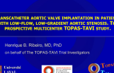 TOPAS-TAVI: A Prospective, Multicenter Registry Evaluating Transcatheter Aortic Valve Implantation in Patients with Low-Flow, Low-Gradient Aortic Stenosis