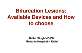 Bifurcation Lesions: Available Devices and How to Choose