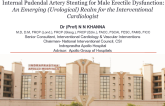 Internal Pudendal Artery Stenting for Male Erectile Dysfunction: An Emerging (Urological) Realm for the Interventional Cardiologist
