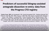 TCT 273: Predictors of Successful Stingray-Assisted Antegrade Dissection Re-entry: Data from the Progress CTO Registry