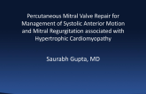 TCT 810: Percutaneous Mitral Valve Repair for Management of Systolic Anterior Motion and Mitral Regurgitation Associated with Hypertrophic Cardiomyopathy