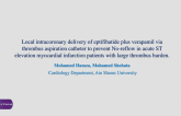 TCT 147: Local Intracoronary Delivery of Eptifibatide Plus Verapamil via Thrombus Aspiration Catheter to Prevent No-Reflow in Acute ST Elevation Myocardial Infarction Patients with large Thrombus Burden.