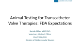 Animal Testing: FDA Expectations