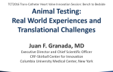 Animal Testing: “Real-World” Experiences and Translational Challenges