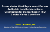 Transcatheter Mitral Replacement Devices: An Update from the International Organization for Standardization (ISO) Cardiac Valves Committee
