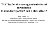Leaflet Thickening, Dysfunction, and Thrombosis: Clinical Perspectives- Are Problems Under-Reported? Are the Changes a Class Effect?