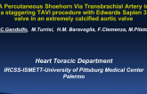 A Percutaneous Shoehorn via Transbrachial Artery Approach in a Staggering Tavi Procedure With Edwards Sapien 3 Aortic Valve in a Patient With Extremely Calcified Aortic Valve