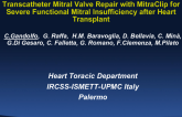 Transcatheter Mitral Valve Repair With MitraClip for Severe Functional Mitral Insufficiency After Heart Transplant