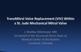 TransMitral Valve Replacement (VIV) Within a St. Jude Mechanical Mitral Valve