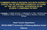 Combined Single-Session Tavi With Edwards Sapien 3 Aortic Valve and Percutaneous Closure of the Left Atrial Appendage in a Elderly Comorbid Patient