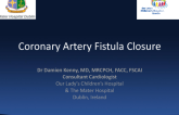 Case #3: Coronary Artery Fistula Closure