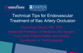 Technical Components of Iliac Artery Occlusion Endovascular Treatment: The Tips and Tricks