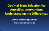 Optimal Stent Selection for Aortoiliac Intervention: Understanding the Differences