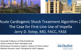 Acute Cardiogenic Shock Treatment Algorithm 2: The Case for First-line Use of Impella