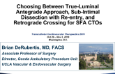 SFA CTO Crossing Techniques: Choosing Between Intraluminal Crossing, Antegrade Subintimal Dissection With Re-entry, and Retrograde SFA Access